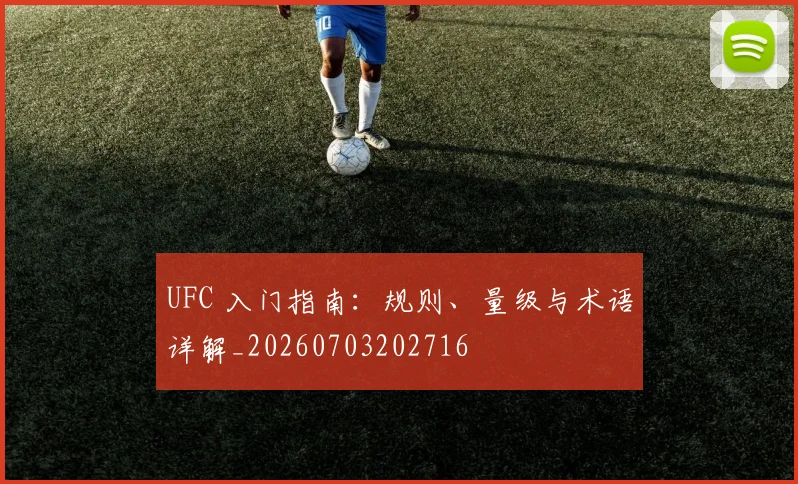 UFC 入门指南：规则、量级与术语详解_20260703202716