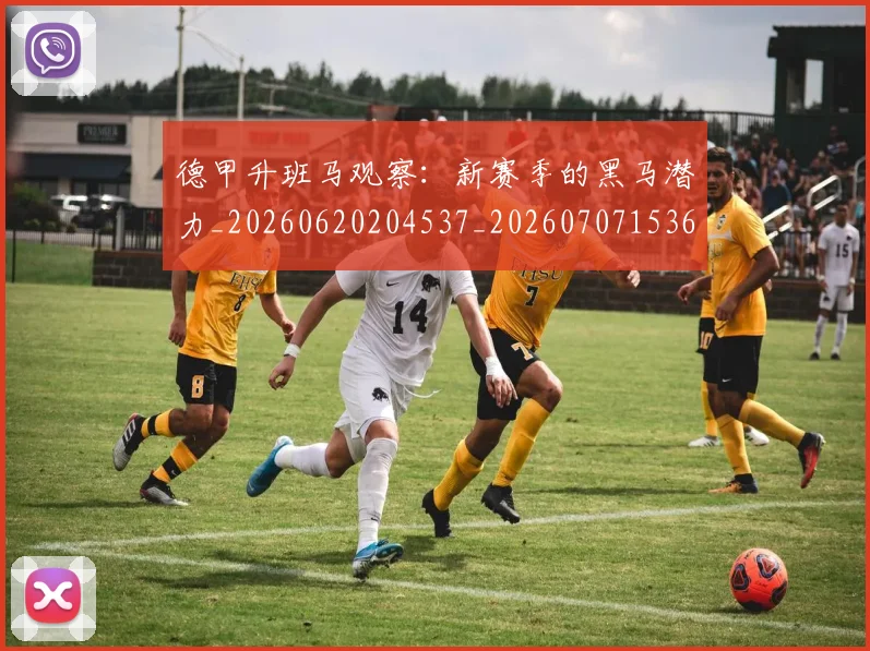 德甲升班马观察：新赛季的黑马潜力_20260620204537_20260707153602