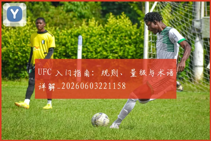 UFC 入门指南：规则、量级与术语详解_20260603221158