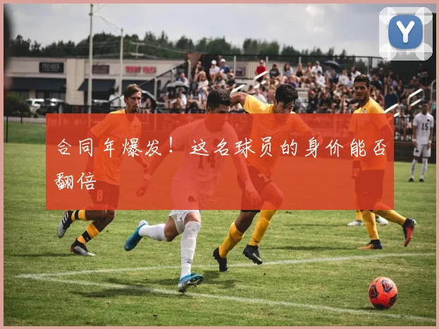 合同年爆发！这名球员的身价能否翻倍
